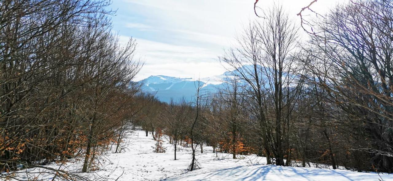 מונטקרטו Granchalet Sul Cimone 103 מראה חיצוני תמונה